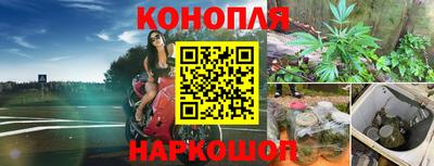 спиды Малгобек
