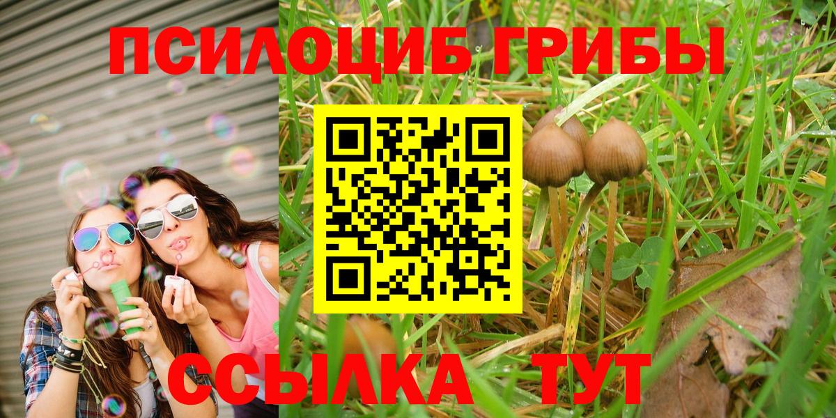 Галлюциногенные грибы Psilocybe  купить закладку  Галлюциногенные грибы прущие грибы  Чапаевск  Вход с VPN 