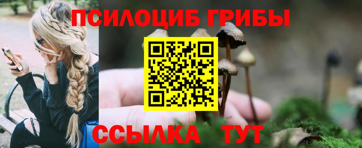 Галлюциногенные грибы MAGIC MUSHROOMS Чапаевск